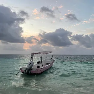 Home's Jungle Puerto Morelos 20 Minutes From The Airport Mexiko